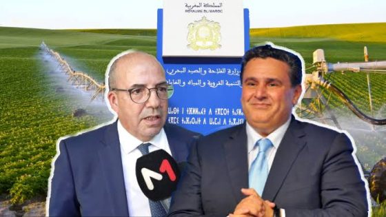 في أكبر اختبار لوزارة الفلاحة منذ إطلاق برنامج إعادة تكوين القطيع… منظومة الدعم تهتز تحت ضغط الشبهات والمضاربات واتهامات داخل البرلمان