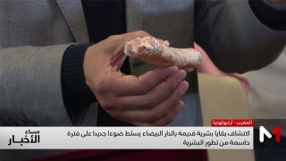 اكتشاف بقايا بشرية قديمة بالدار البيضاء يسلط ضوءا جديدا على فترة حاسمة من تطور البشرية