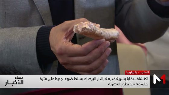 اكتشاف بقايا بشرية قديمة بالدار البيضاء يسلط ضوءا جديدا على فترة حاسمة من تطور البشرية