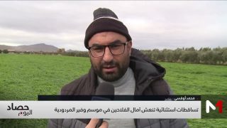 تساقطات استثنائية تنعش آمال الفلاحين في موسم وفير المردودية