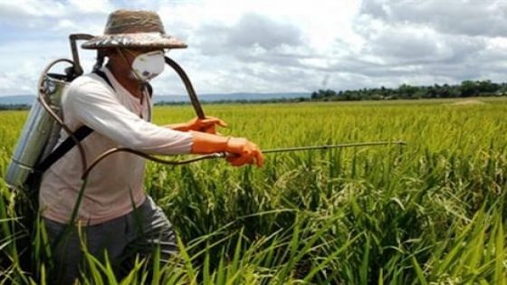 تحذير برلماني من مخاطر المبيدات ودعوة إلى فلاحة صحية ومستدامة