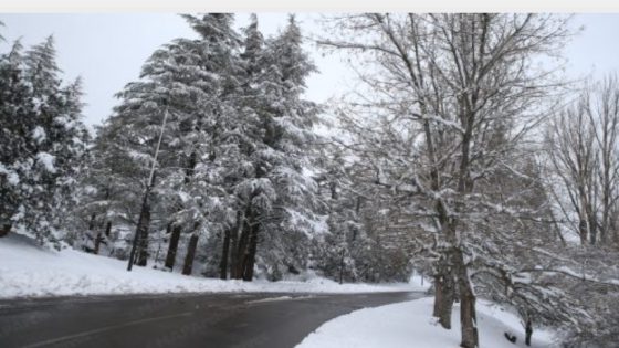 تساقطات ثلجية وموجة برد ورياح قوية من الإثنين إلى الأربعاء بعدد من مناطق المملكة (نشرة إنذارية)