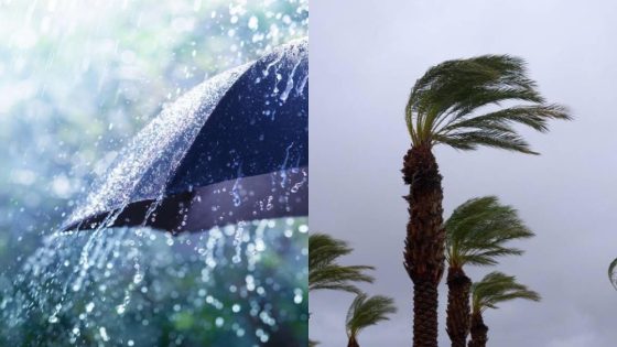 نشرة إنذارية من مستوى يقظة أحمر.. زخات وأمطار قوية، ورياح عاصفية بعدة مناطق