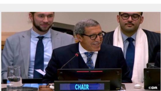 الأمم المتحدة.. انتخاب السيد هلال بالتزكية لرئاسة لجنة بناء السلام