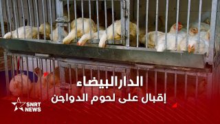 اقتناء الدواجن يرتفع قبيل رمضان وسط توقعات بوفرة العرض