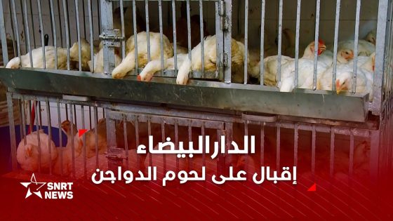 اقتناء الدواجن يرتفع قبيل رمضان وسط توقعات بوفرة العرض