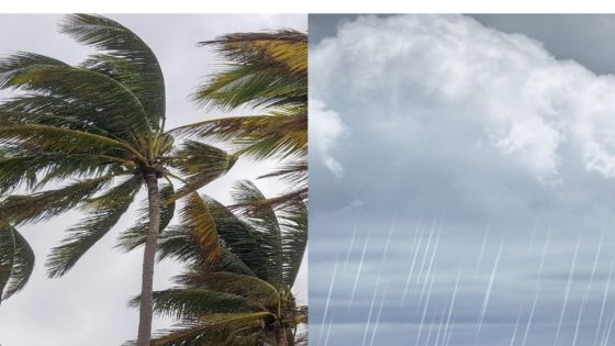 نشرة إنذارية.. تساقطات مطرية قوية رعدية مع احتمال تساقط البرد ورياح عاصفية في عدة مدن