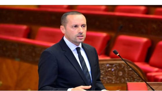 أديس أبابا .. وزير الصحة يتباحث مع المديرة الإقليمية لشرق المتوسط بمنظمة الصحة العالمية