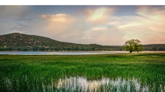 طقس السبت.. برد وصقيع محلي بالأطلس ورياح بأقاليم المملكة