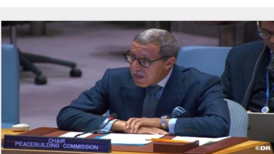 الأمم المتحدة.. السيد هلال يقدم إحاطة أمام مجلس الأمن حول الوضع بجمهورية إفريقيا الوسطى