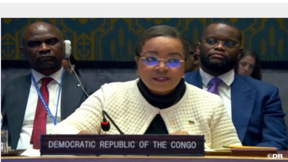 البلدان الافريقية الثلاثة الأعضاء في مجلس الأمن تشيد بالمائدة المستديرة لشركاء جمهورية إفريقيا الوسطى التي انعقدت بالدار البيضاء