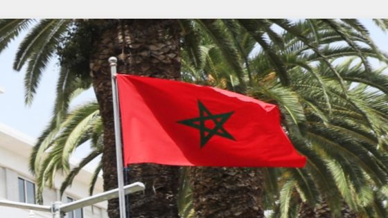 معركة الدشيرة وجلاء آخر جندي أجنبي عن الأقاليم الجنوبية، ملحمتان وضاءتان في مسلسل استكمال الاستقلال وتحقيق الوحدة الترابية