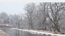 تساقطات ثلجية مرتقبة من الثلاثاء إلى الأربعاء بعدد من مناطق المملكة (نشرة إنذارية)