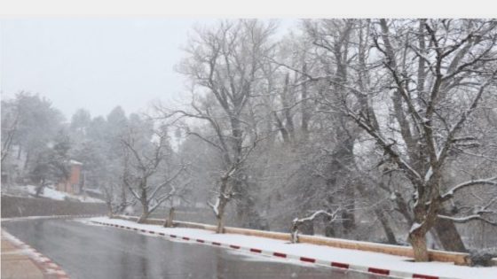 تساقطات ثلجية مرتقبة من الثلاثاء إلى الأربعاء بعدد من مناطق المملكة (نشرة إنذارية)