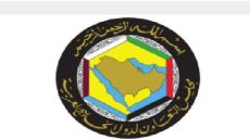 العدوان الإيراني.. دول مجلس التعاون الخليجي تتخذ تدابير ملموسة لضمان تموين الأسواق بالمواد الأساسية