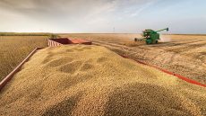 البواري: المغرب يتجاوز “الجفاف” ومحصول الحبوب سيناهز 90 مليون قنطار