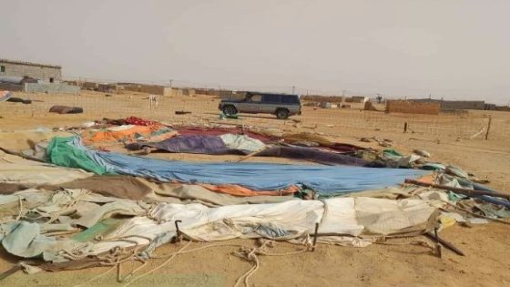 تقارير: واشنطن تضغط على الجزائر وتطالب بتفكيك مخيمات تندوف