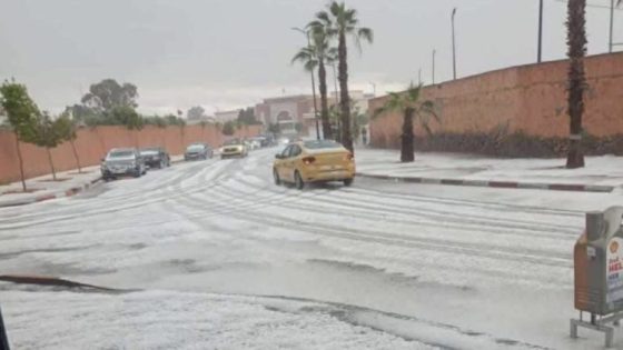 تساقطات ثلجية مفاجئة تعم مدن مغربية ومديرية الأرصاد تتوقع رياح وأمطار رعدية