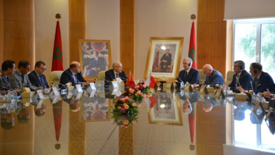 السيد لوديي يستقبل الوزير المنتدب لدى رئيس الوزراء المكلف بالتنسيق بين المصالح الخاصة ببولونيا