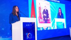 قطاع التأمينات آلية حقيقية للصمود في مواجهة التحولات المعقدة (السيدة فتاح)