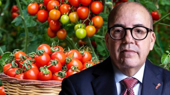 وزارة الفلاحة تعلّق صادرات الطماطم وسط مخاوف من تداعيات القرار على التزامات المصدرين