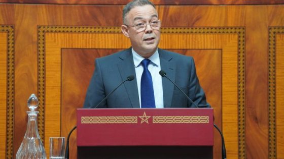 لقجع يكشف عن مشروع قانون غير مسبوق لضبط استخدام العملات الرقمية بالمغرب