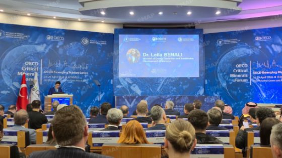 إسطنبول.. المغرب يترأس بصفة مشتركة منتدى المعادن الحيوية لمنظمة التعاون والتنمية الاقتصادية