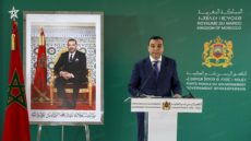 بايتاس: الدعم المالي للمترشحين أقل من 35 سنة يهم المنتمين أو غير المنتمين للأحزاب السياسية