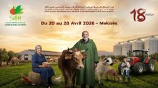 الدورة 18 من الملتقى الدولي للفلاحة بالمغرب استقبلت أكثر من مليون و130 ألف زائر