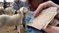 الحكومة تدرس تقديم صرف الأجور قبل الأجل تزامناً مع عيد الأضحى