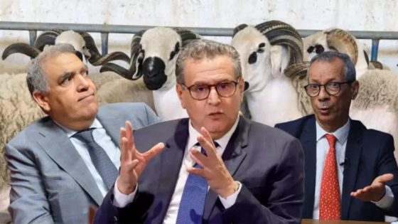 الدولة تُعلن الحرب على “شناقة العيد”.. السجن والغرامات في انتظار المتلاعبين بأسعار الأضاحي
