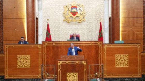 احتياطي العملة الصعبة بلغ 469,8 مليار درهم متم أبريل 2026 (السيد لقجع)