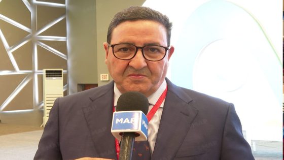 المغرب يعمل، تحت قيادة جلالة الملك، من أجل الاندماج الجوي الإفريقي (السيد قيوح)