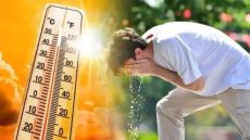 41 درجة .. حرارة مرتفعة بعدد من مناطق المملكة