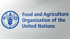 فاو: الرؤية الملكية في مجال الماء ركيزة استراتيجية للسيادة الوطنية للمغرب