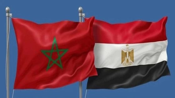 مجلس الحكومة يطلع على اتفاق بين المغرب ومصر بشأن تجنب الازدواج الضريبي ومنع التهرب من الضرائب