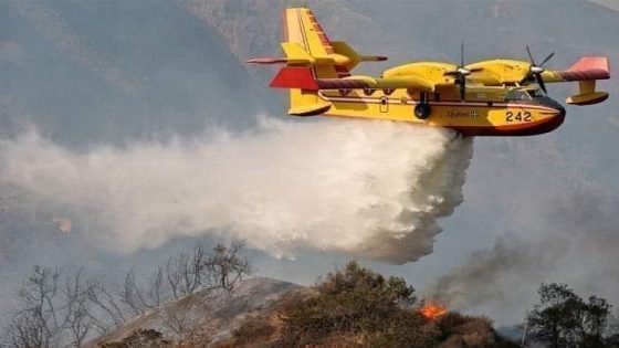 البرتغال تطلب مساعدة عاجلة من المغرب لإطفاء حرائق الغابات