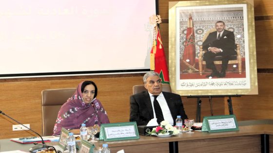 مجلس جهة كلميم-وادنون يصادق على اتفاقيات شراكة في عدة مجالات تنموية