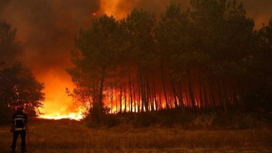 إسبانيا تعلن حالة طوارىء وطنية في مدريد بسبب حرائق الغابات